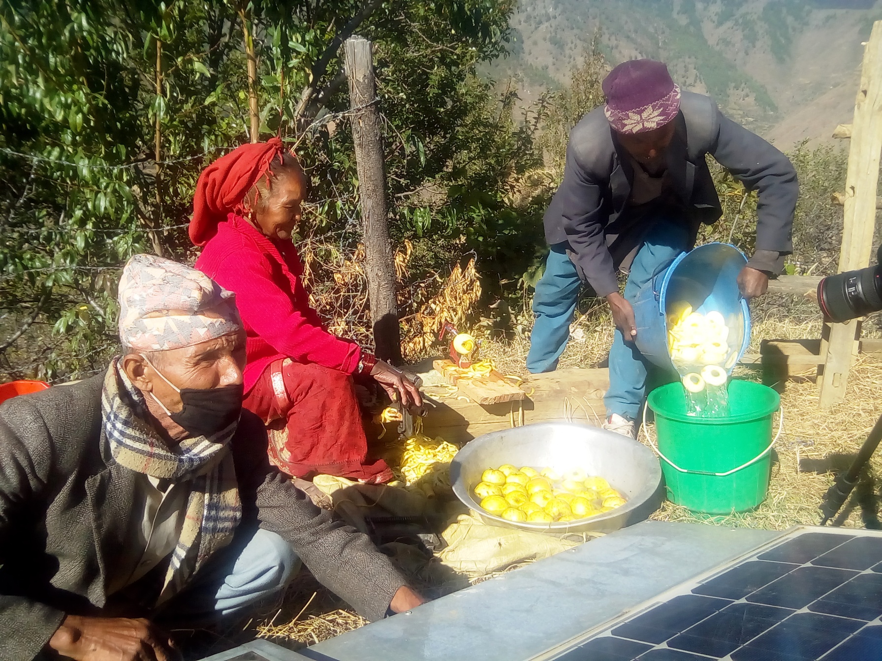स्याउ खेतीले छुटायो मुग्लान