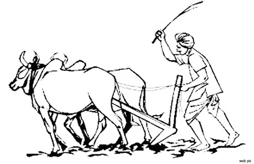 परिचयपत्र लिन आउँदैनन् कृषक