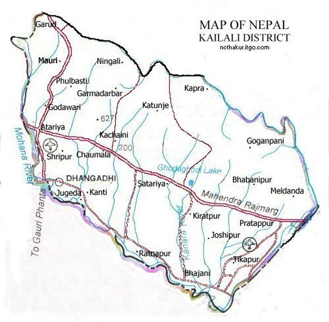 गाई मारेको विरोधमा जिल्ला बन्द