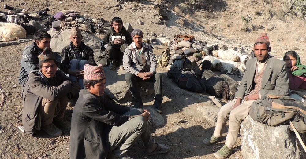 बाजुराबाट चामल ओसार्दै हुम्लाका नागरिक