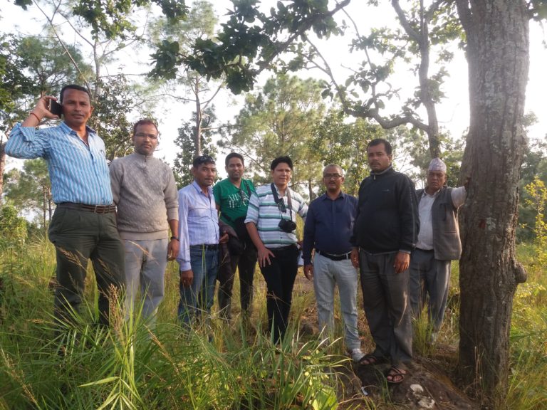 सम्भाव्यता अध्ययन अन्तिम चरणमा