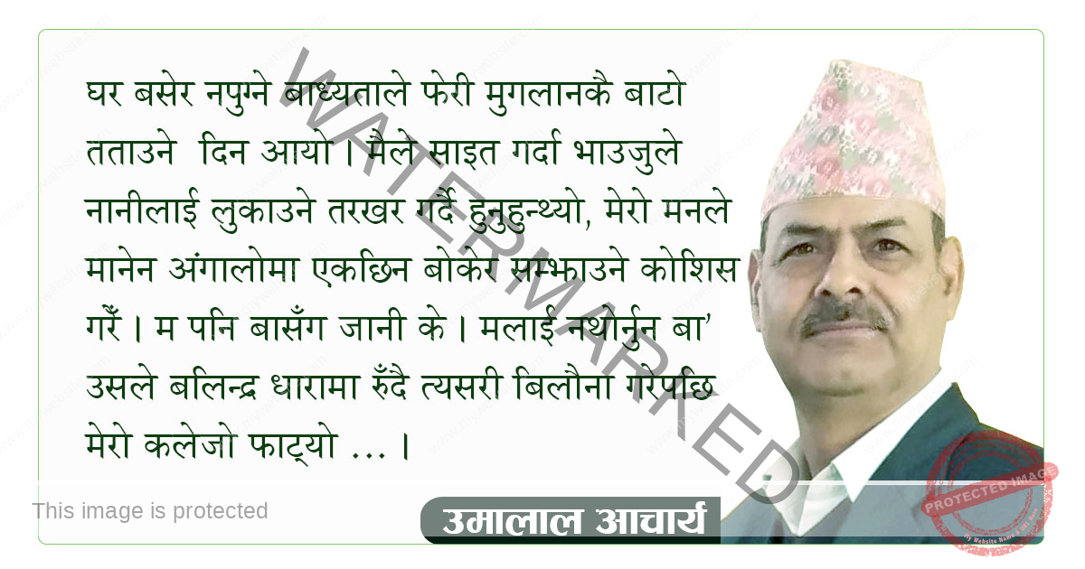 निसानी