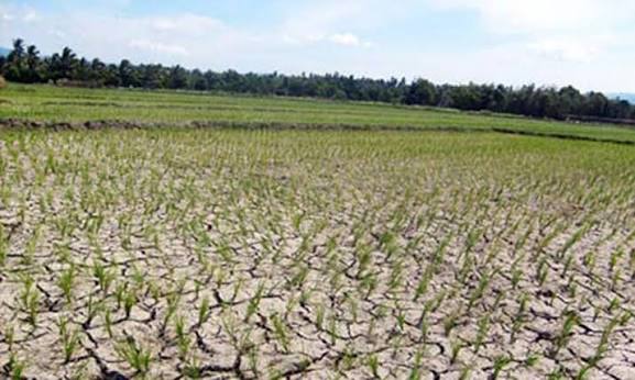 सुक्खाग्रस्त क्षेत्रको अनुगमन